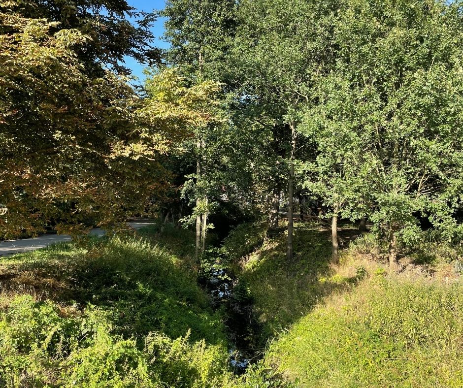 Park