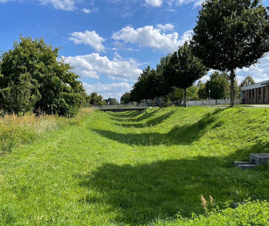 Pumptrack Area 1