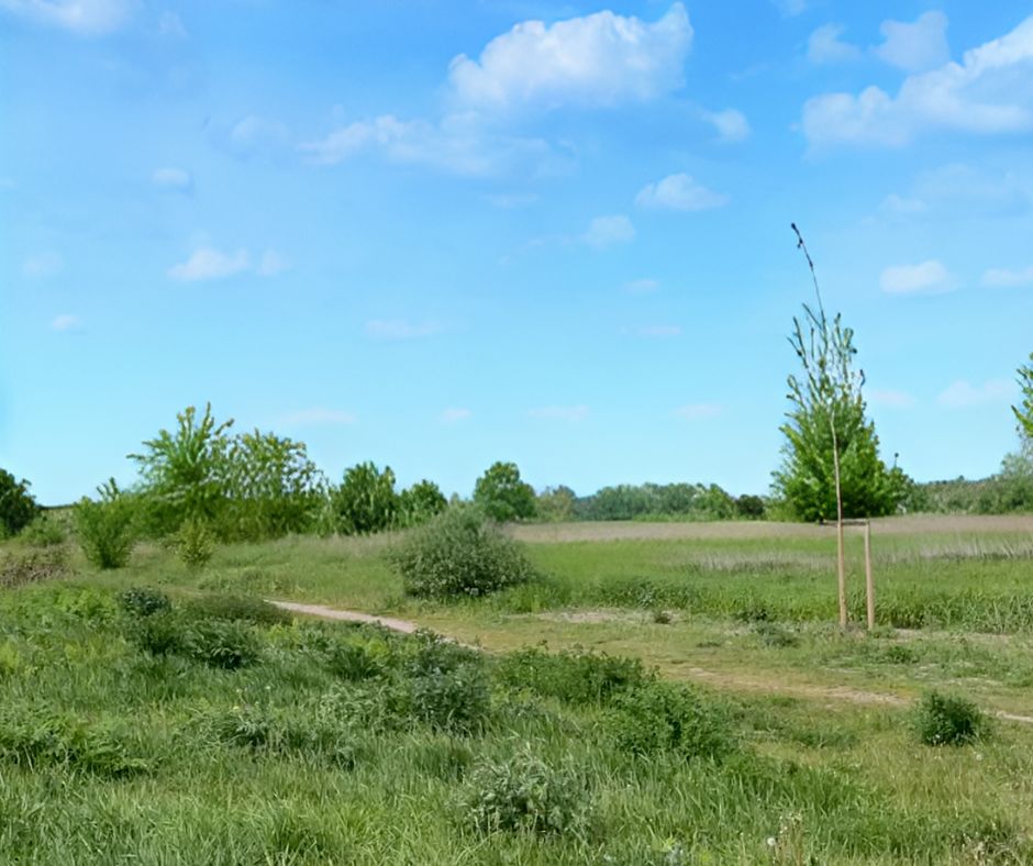 Pumptrack Area 3