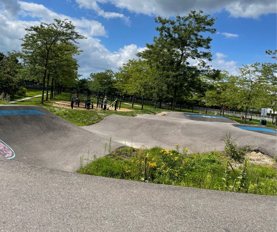 Pumptrack 3